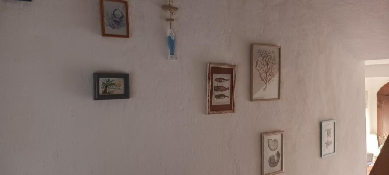 Anna Apartamento Biograd Na Moru Exterior foto