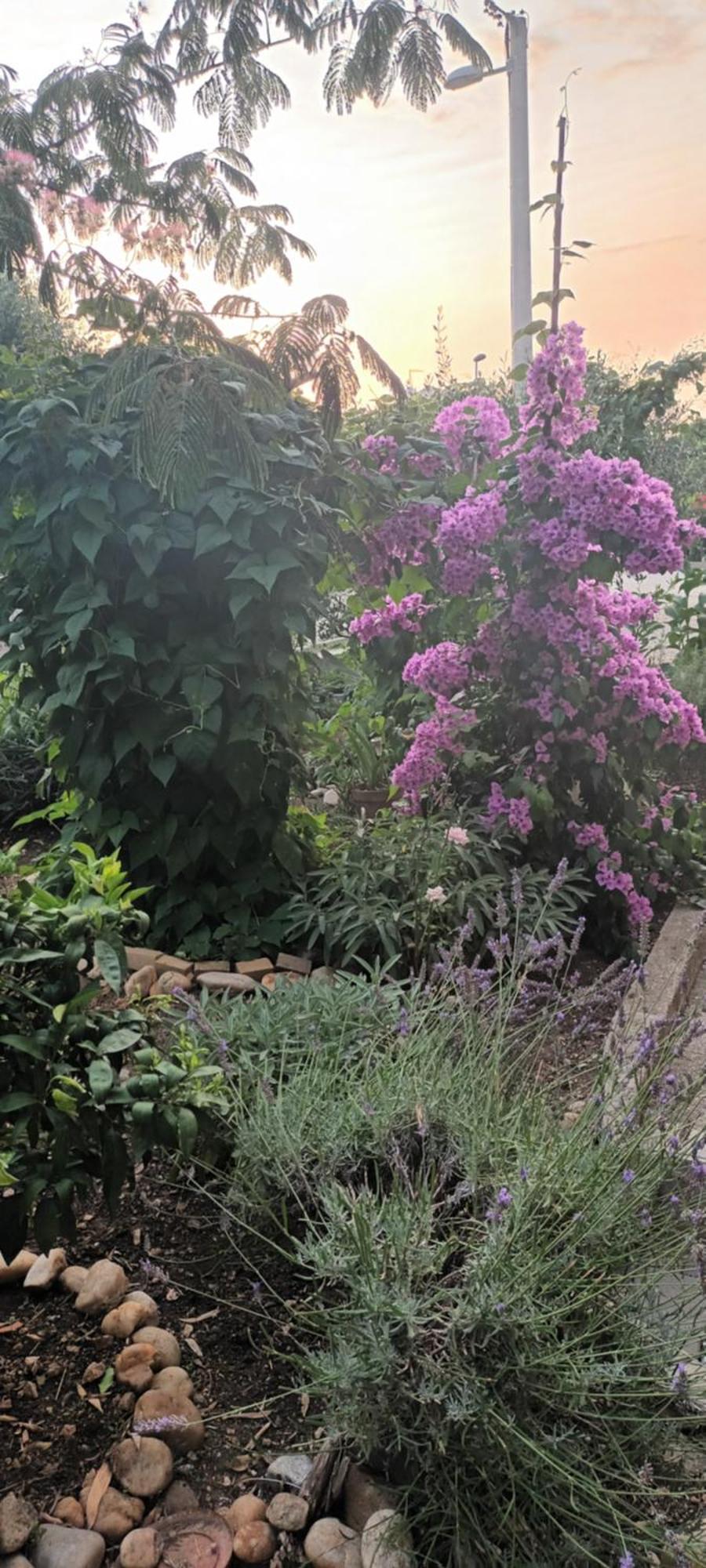 Anna Apartamento Biograd Na Moru Exterior foto
